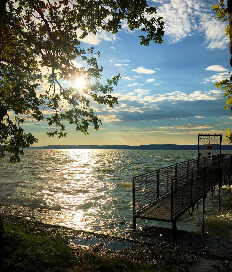 Party Villa Holiday Rent Balatonföldvár Exteriér fotografie