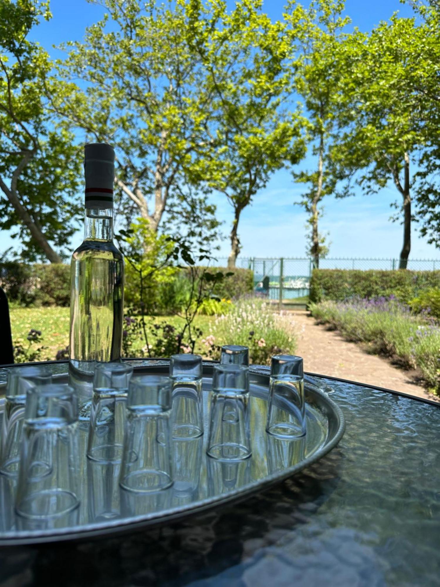 Party Villa Holiday Rent Balatonföldvár Exteriér fotografie
